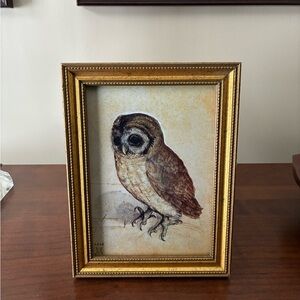 Albrecht Durer Little Owl Framed Art Print 6x8 German Renaissance Gold Wall Art